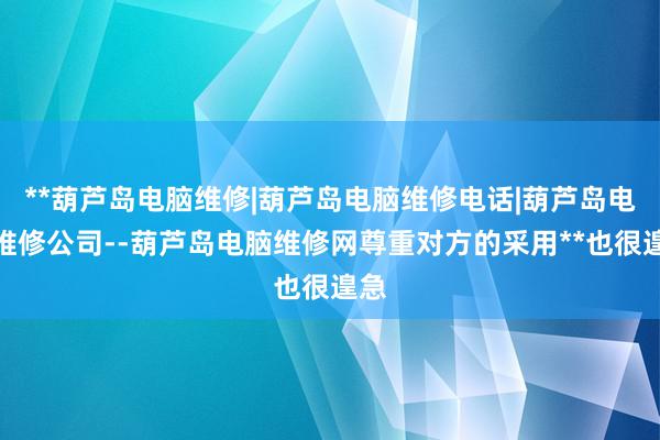 **葫芦岛电脑维修|葫芦岛电脑维修电话|葫芦岛电脑维修公司--葫芦岛电脑维修网尊重对方的采用**也很遑急