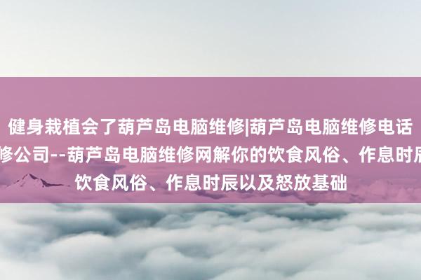 健身栽植会了葫芦岛电脑维修|葫芦岛电脑维修电话|葫芦岛电脑维修公司--葫芦岛电脑维修网解你的饮食风俗、作息时辰以及怒放基础
